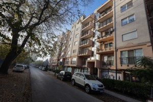 ZM Kids (X body studio)