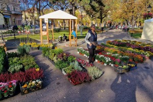 Izložba i vašar cveća "Garden flora"
