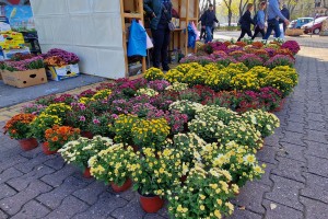 Izložba i vašar cveća "Garden flora"
