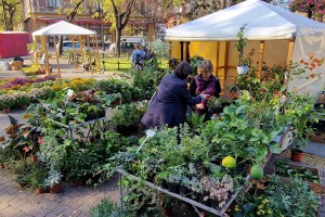 Izložba i vašar cveća "Garden flora"