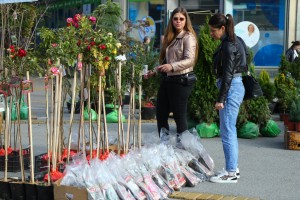 Vašar cveća na trgu