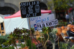 Vašar cveća na trgu