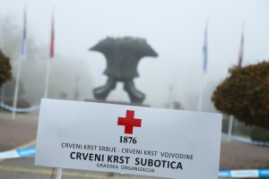 "Trka za srećnije detinjstvo"