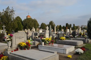 Komemoracija žrtvama iz 1944. godine (spomenik "Ptica slomljenih krila")