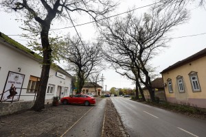 Salaš gradski - ukusna domaća hrana u domaćinsko ambijentu