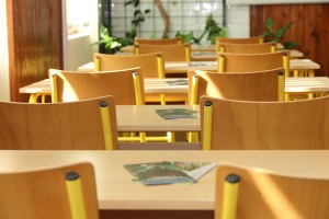 Promocija dobrovoljnog služenja vojnog roka