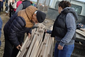 Polaganje mladih sadnica u sklopu podizanja vetrozaštitnog pojasa
