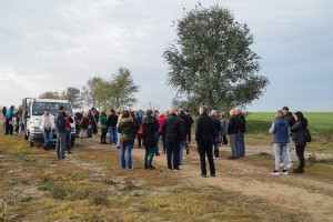 Polaganje mladih sadnica u sklopu podizanja vetrozaštitnog pojasa