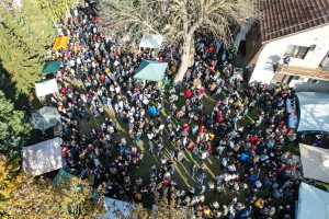 14. Festival mlade rakije u Ljutovu