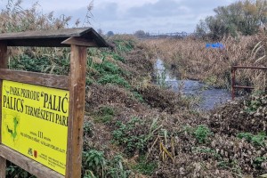 Obilazak divlje deponije iza prečistača otpadnih voda (1. sektor)