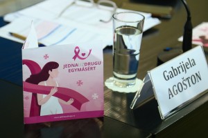 Predstavljanje aktivnosti na projektu "Zdrava majka-zdrava porodica"