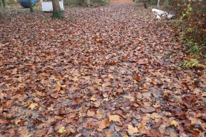 Polaganje venaca na bistu Josipu Brozu Titu povodom Dana SFRJ