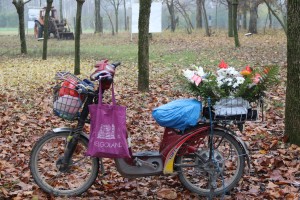 Polaganje venaca na bistu Josipu Brozu Titu povodom Dana SFRJ