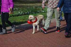 Trka Deda Mrazeva na Paliću (2022)