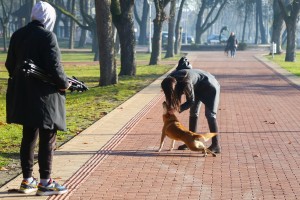 Obraćanje povodom uklanjanja nelegalnih objekata na Paliću