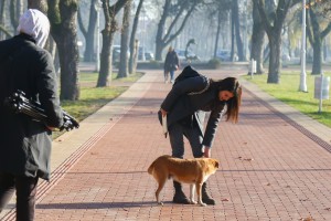 Obraćanje povodom uklanjanja nelegalnih objekata na Paliću