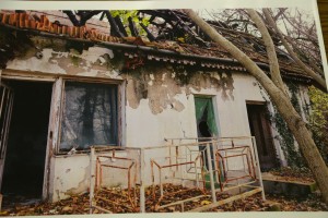 Obraćanje povodom uklanjanja nelegalnih objekata na Paliću