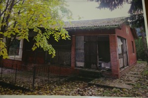 Obraćanje povodom uklanjanja nelegalnih objekata na Paliću