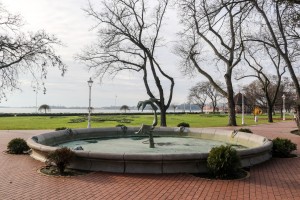 Obilazak lokacije u Velikom parku na Paliću na kojoj se uklanjaju suva stabala