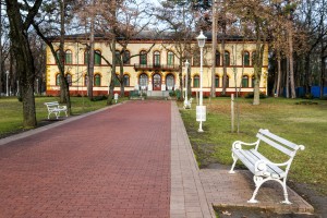 Obilazak lokacije u Velikom parku na Paliću na kojoj se uklanjaju suva stabala