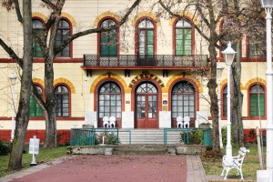 Obilazak lokacije u Velikom parku na Paliću na kojoj se uklanjaju suva stabala