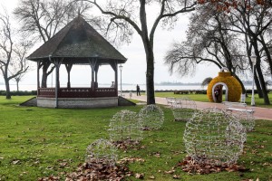 Obilazak lokacije u Velikom parku na Paliću na kojoj se uklanjaju suva stabala