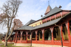 Obilazak lokacije u Velikom parku na Paliću na kojoj se uklanjaju suva stabala