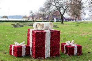 Obilazak lokacije u Velikom parku na Paliću na kojoj se uklanjaju suva stabala