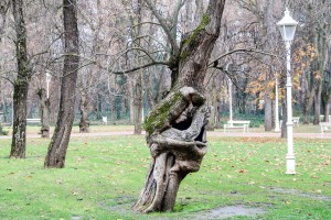 Obilazak lokacije u Velikom parku na Paliću na kojoj se uklanjaju suva stabala