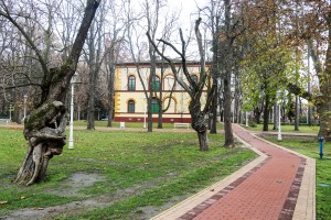 Obilazak lokacije u Velikom parku na Paliću na kojoj se uklanjaju suva stabala