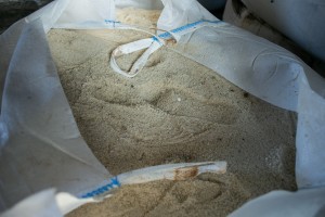 Obilazak Zimske službe