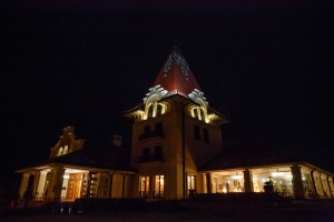 Novogodišnja proslava kompanije "Patent Co."