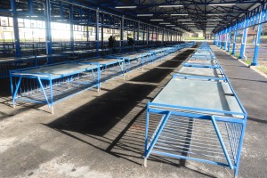 Manifestacioni trg u Čantaviru