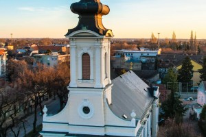 Organizovani odlazak po badnjak u šumu na Makovoj sedmici