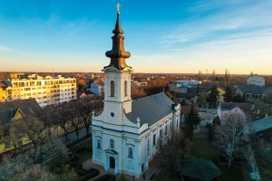 Organizovani odlazak po badnjak u šumu na Makovoj sedmici