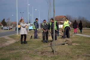 Sadnja drveća u Ulici Partizanskih baza