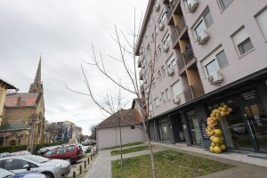 Salon "S.O.B.A decor"