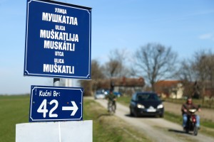 Problemi sa asfaltom u Ulici muškatla