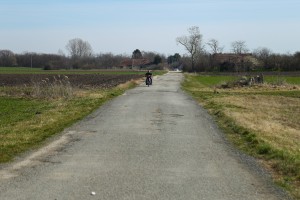 Problemi sa asfaltom u Ulici muškatla