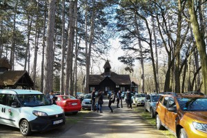 Unošenje jelena lopatara i muflona u lovište "Subotičke šume"