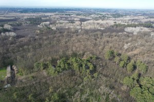 Unošenje jelena lopatara i muflona u lovište "Subotičke šume"