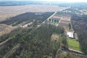 Unošenje jelena lopatara i muflona u lovište "Subotičke šume"