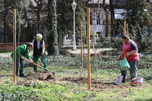 Sadnja drveća i žbunova u zaštićenom parku na Paliću