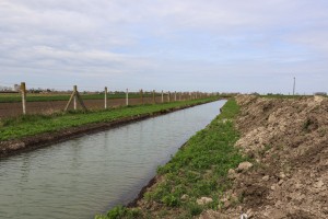 Obilazak izbušenog bunara za vodosnabdevanje u Čantaviru