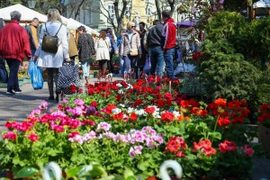 Prolećni sajam cveća "Garden flora"