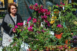 Prolećni sajam cveća "Garden flora"