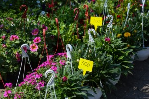 Prolećni sajam cveća "Garden flora"
