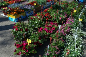 Prolećni sajam cveća "Garden flora"