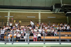 Završna manifestacija projekta "Navijaj i igraj fer"