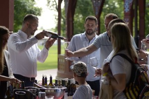 Prvi sajam vina "Winesu"